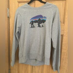 Patagonia, thin sweatshirt/ shirt, buffalo print, size Medium